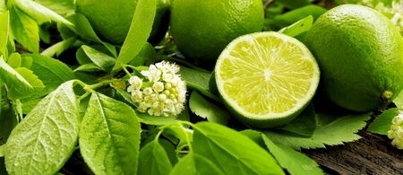 Limonero